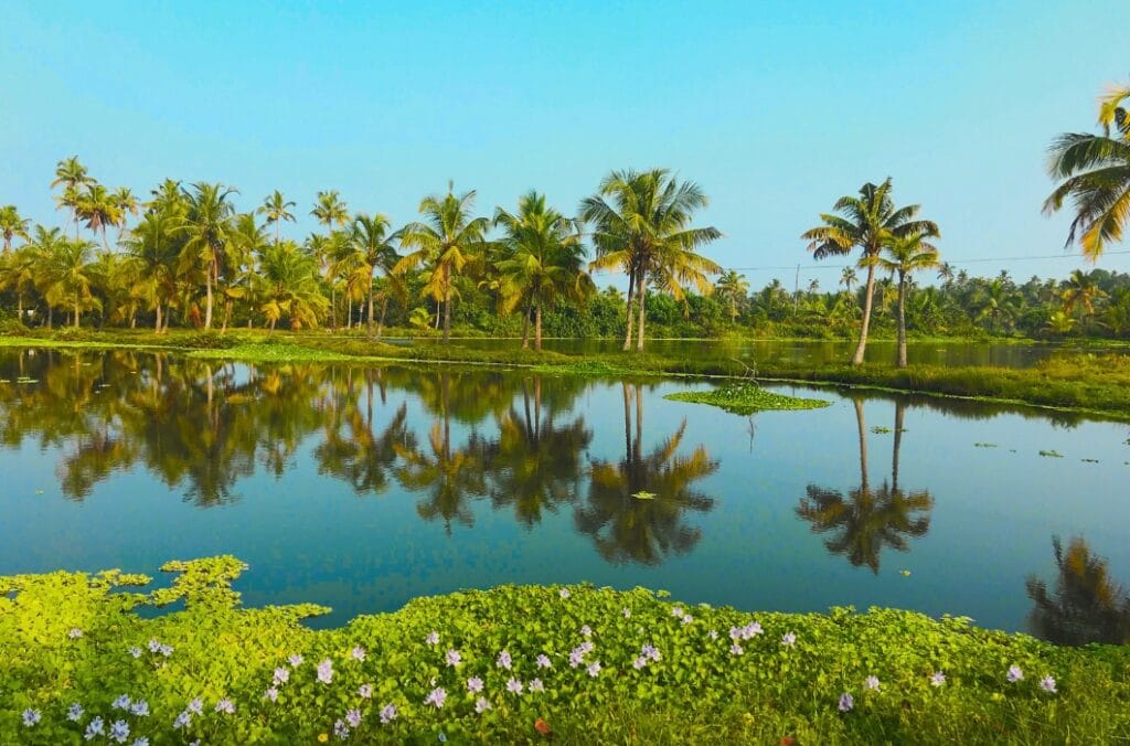 Kakkathuruthu Island Alappuzha